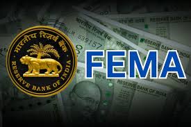 Fema advisory services