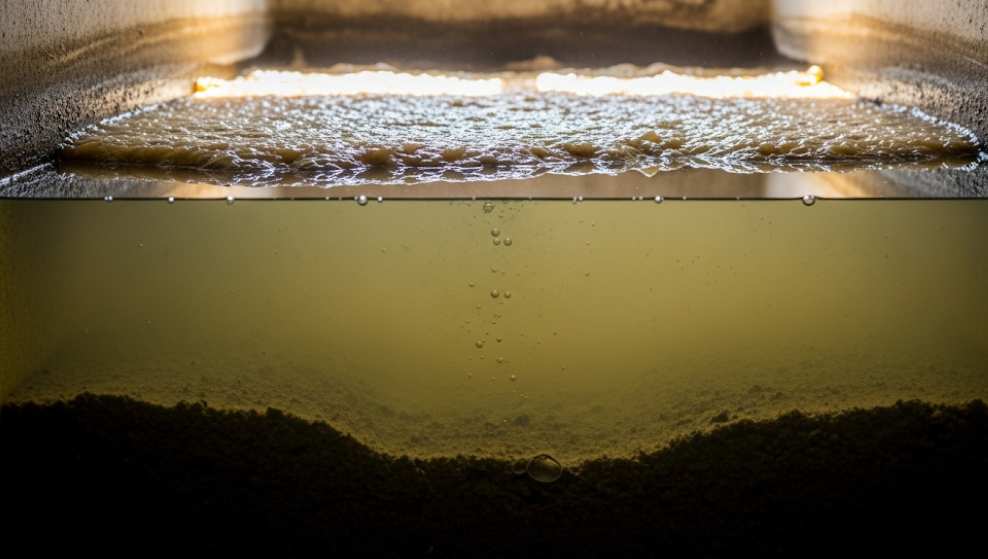 Inside view of a functioning septic tank showing waste layers and natural bacterial breakdown.