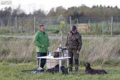 Hundetræning-02-05-2019