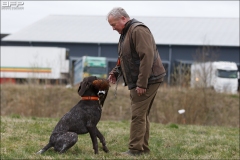 Hundetræning 06-04-2017