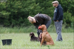 Hundetræning 08-06-2017