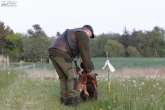 Hundetræning 09-05-2019