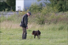 Hundetræning 13-07-2017