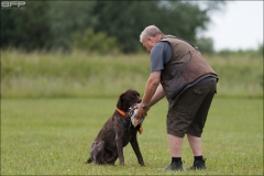 Hundetræning 15-06-2017