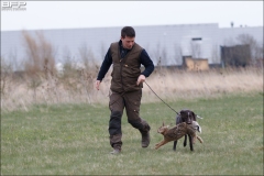 Hundetræning 20-04-2017