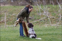 Hundetræning-21-04-2016