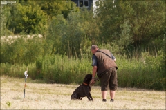 Hundetræning 22-06-2017