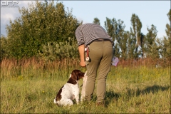 Hundetræning 28-07-2016