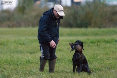 Hundetræning 29-09-2016