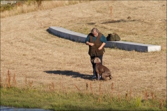 Vandtræning 28-06-2018