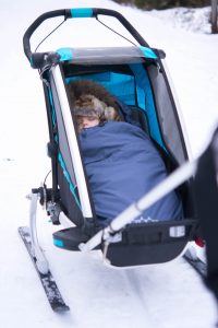 thule chariot sport