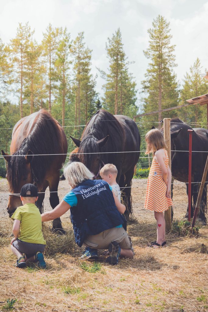 Barnen matar hästarna tillsammans med Dianal som har gården