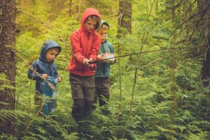 Bäckmete efter bäckröding i Hälsingland