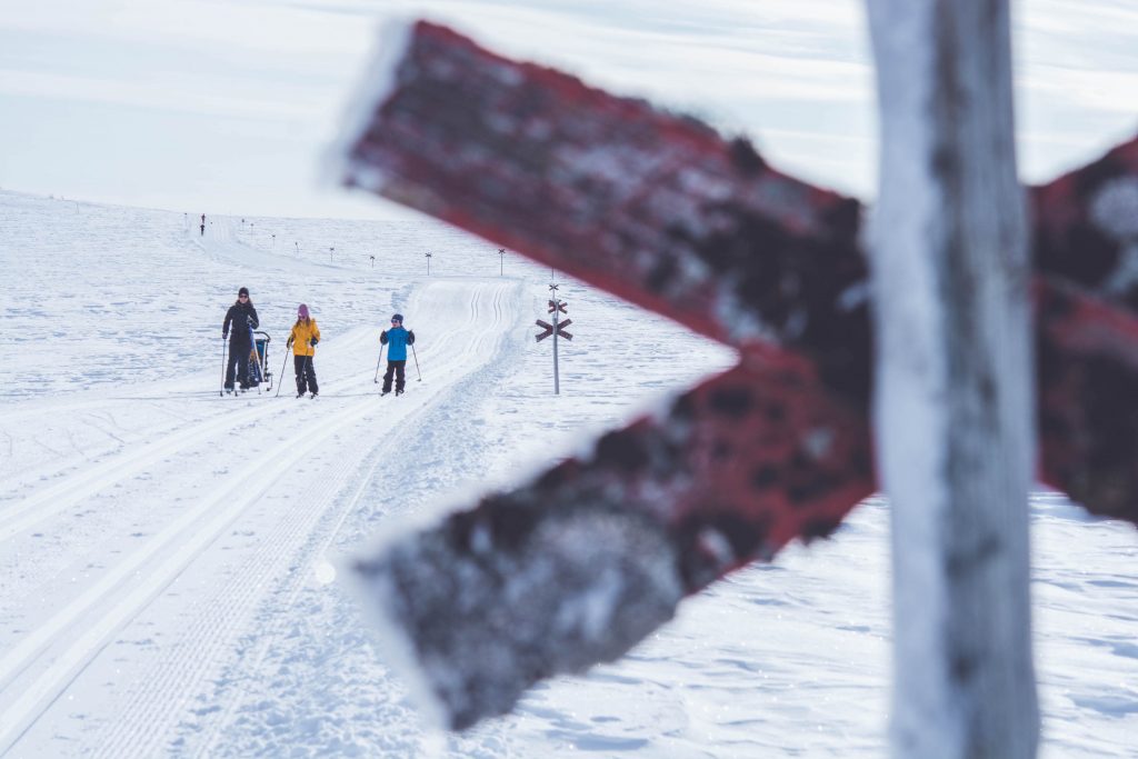 Turskidåkning med barn