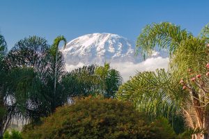 Découvrir le mont Kilimandjaro en Tanzanie