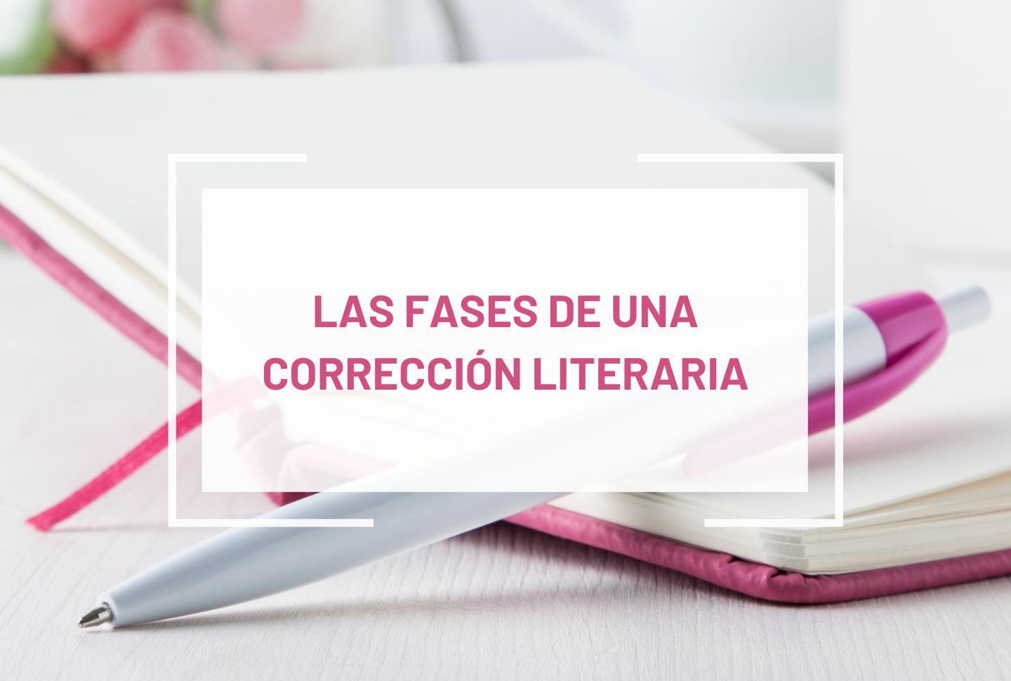 Corrección literaria