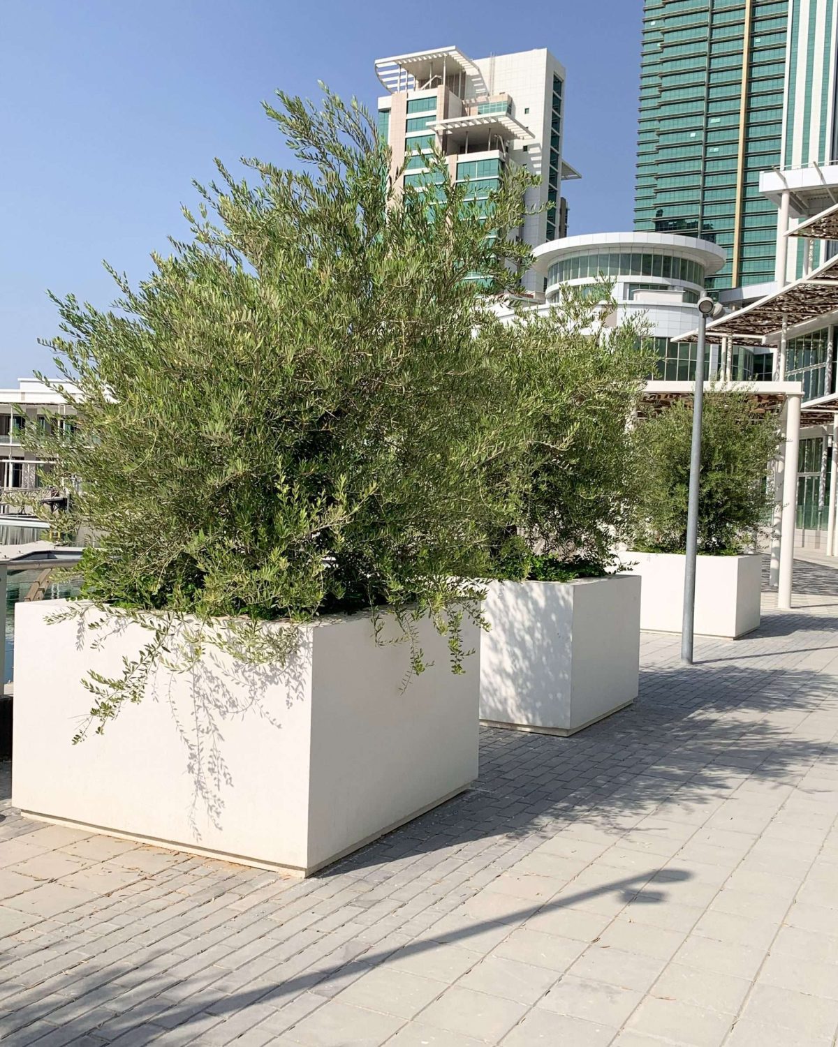 Square Planter Boxes