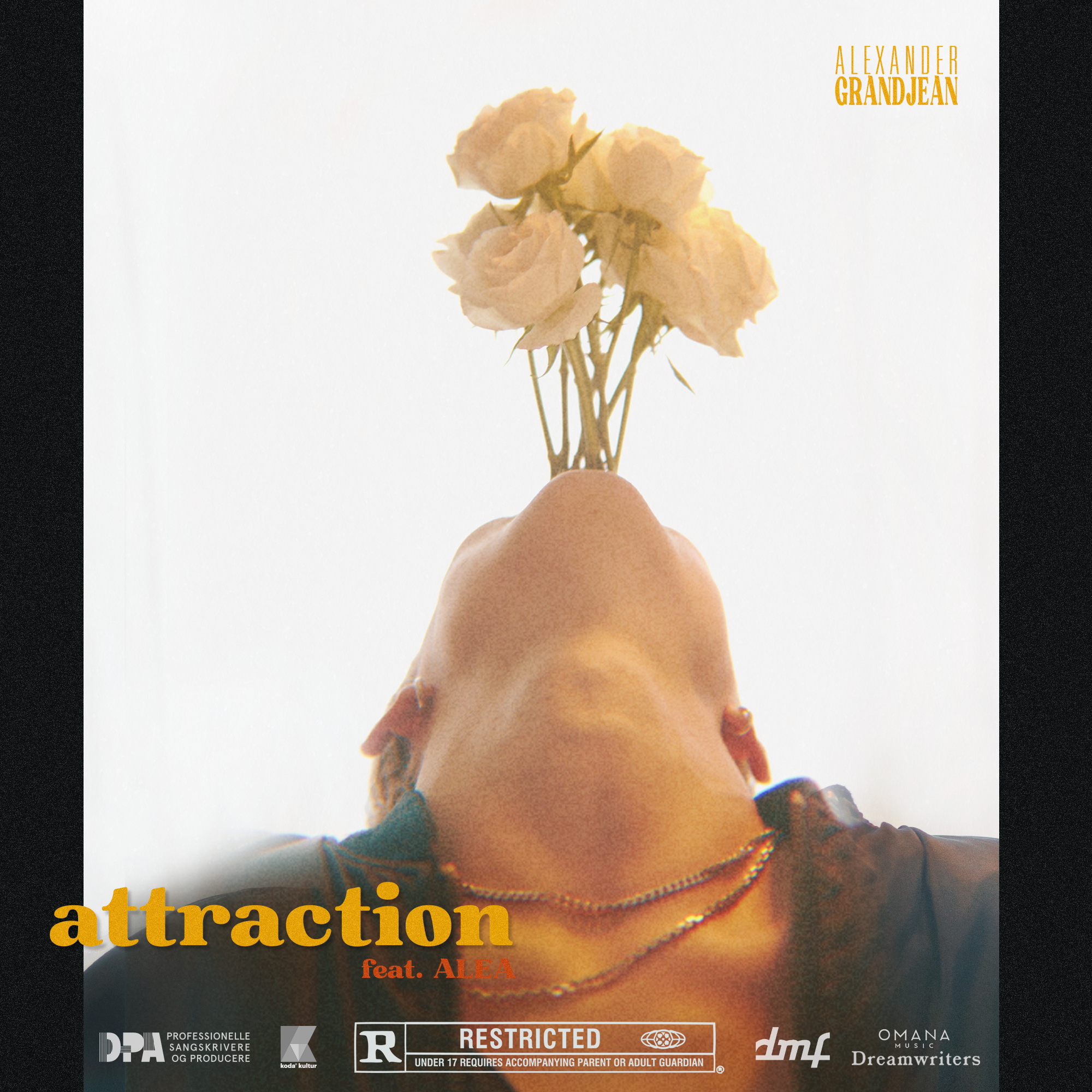 attraction-artwork