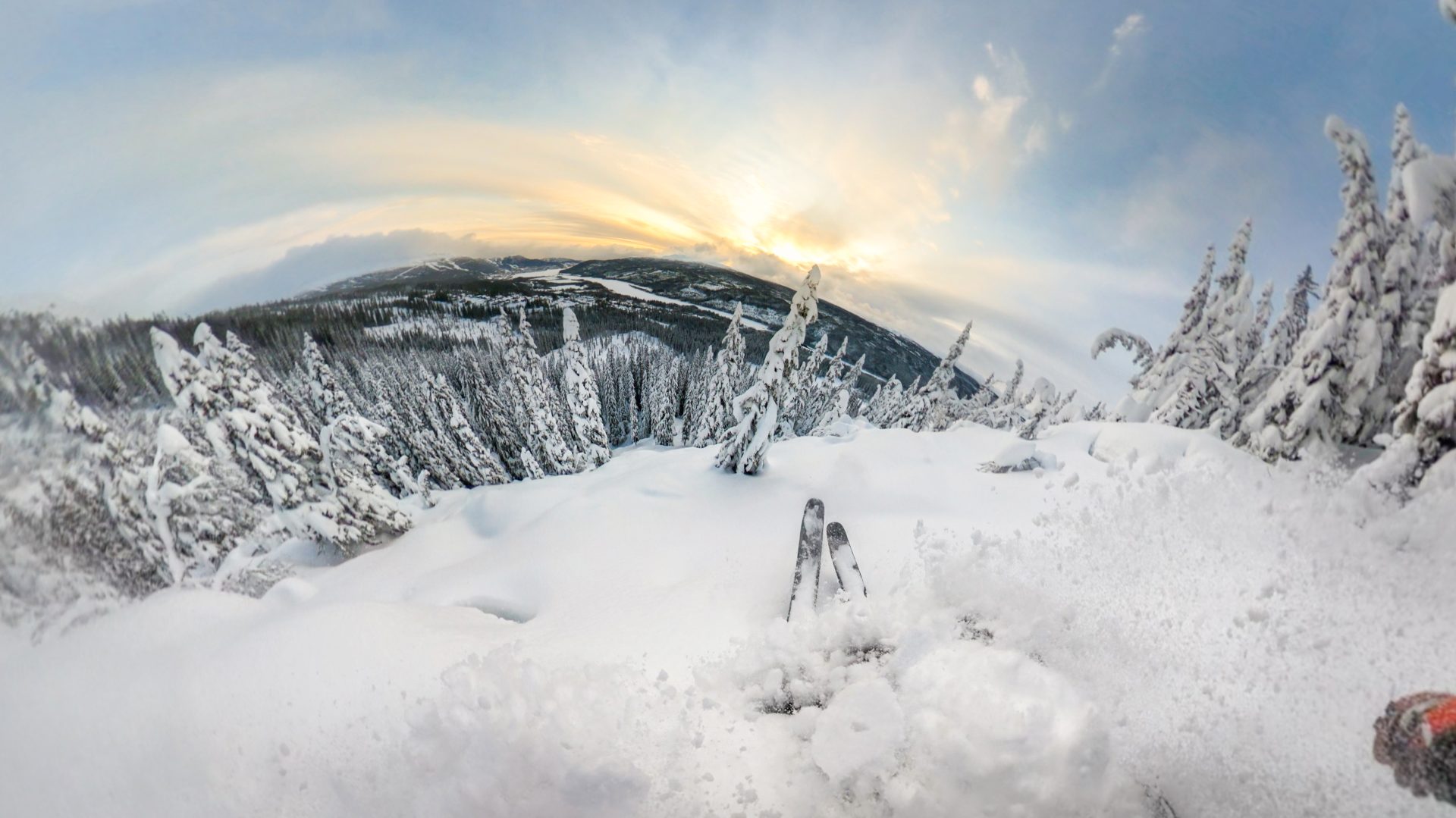 Alexander Ryden skidåkning pudersnö Åre