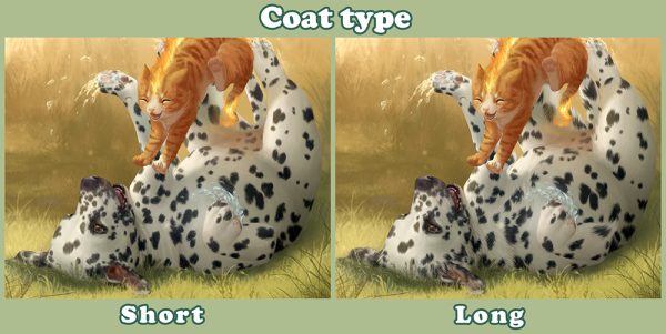 Dalmatian Coat Type Variation