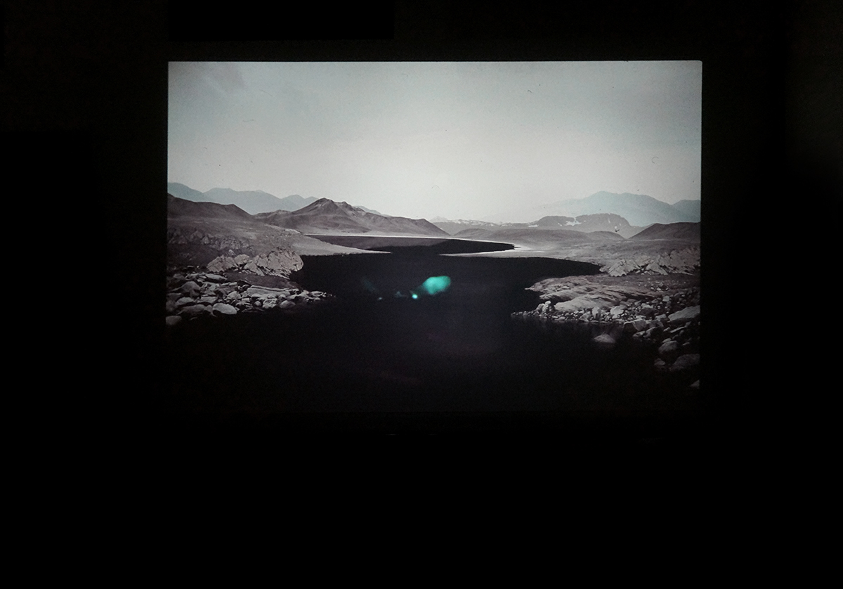 The White Hide [IV], Slide & videoprojection, no sound, 2016, Alexandra Crouwers