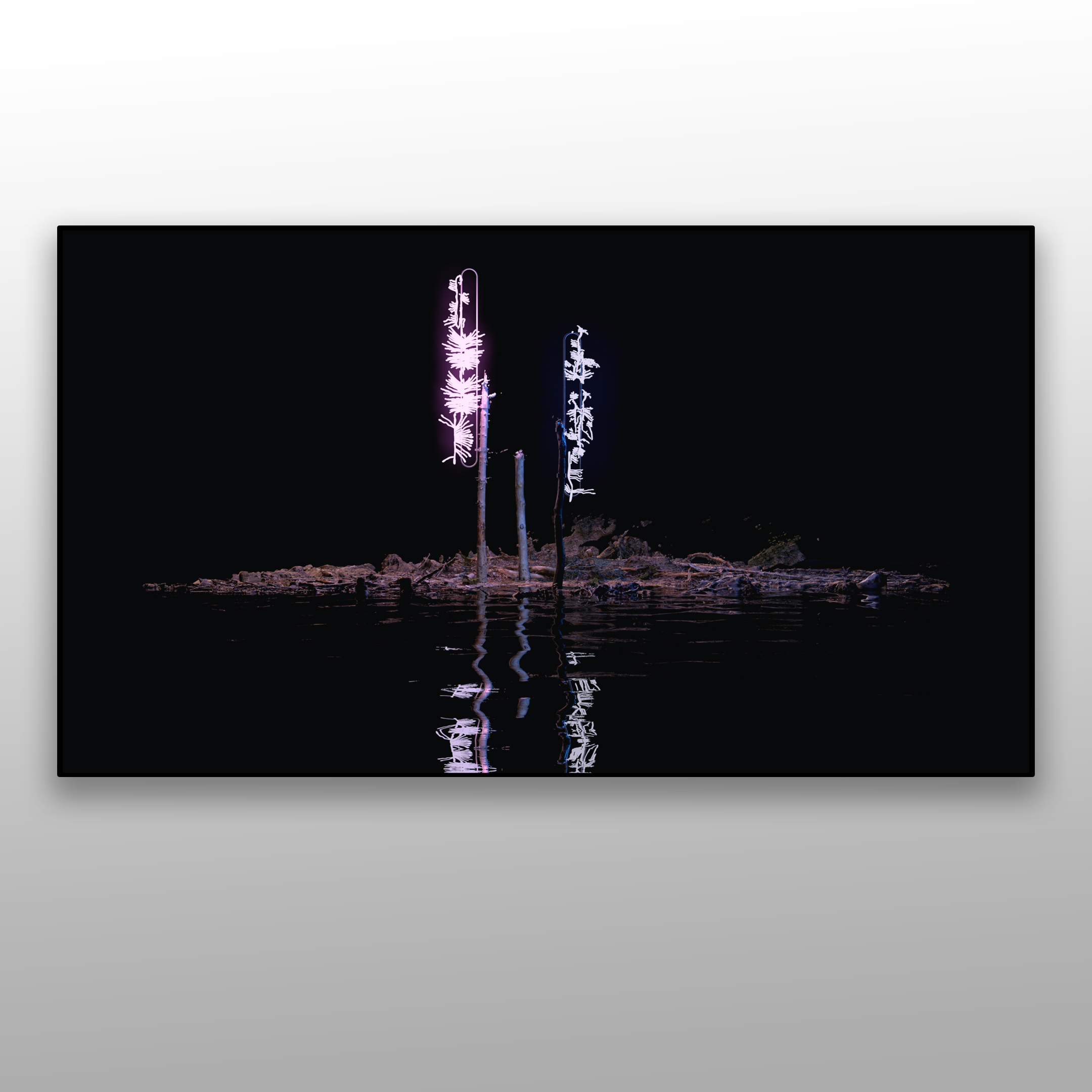 Alexandra Crouwers, videoloop, digital video, Goodbye, 2021, 4k loop