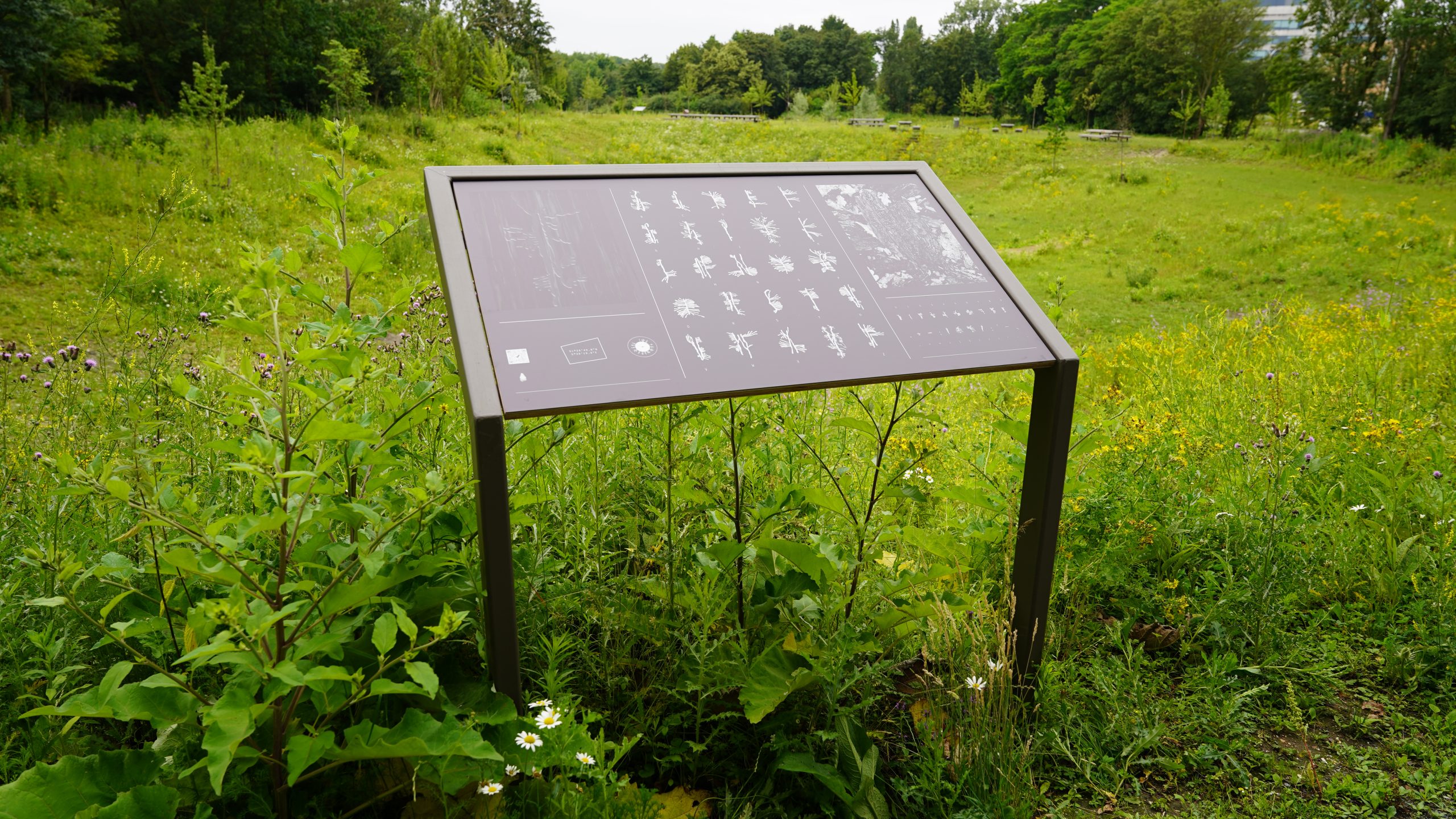 alexandra crouwers, antwerpen, berchem, park, public sculpture, middelheim, 2021