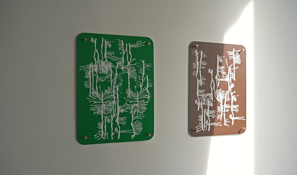 Ips typography, ecological grief, ecoanxiety, digital art, ips typographus, spruce bark beetle, letterzetter, outbreak, commemorative plaque, herdenkingsplaquette, bomen, ontbossing, ecologische kunst, ecoart, alexandra crouwers