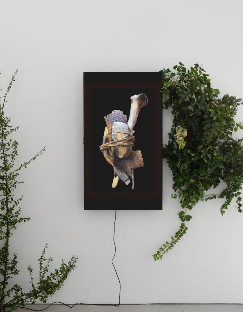 Tools prehistoric art alexandra crouwers digital art 3d scan video installation berlin