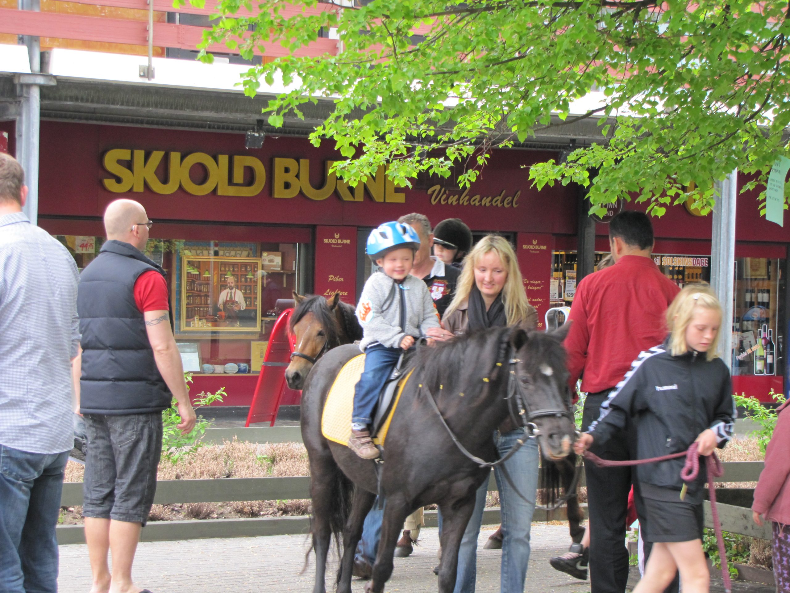 BG_3_2010