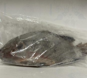 Svart Niltilapia Musta 750-950g (9835)