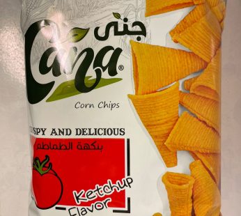 Gana Chips Ketchup 150g*12(295)