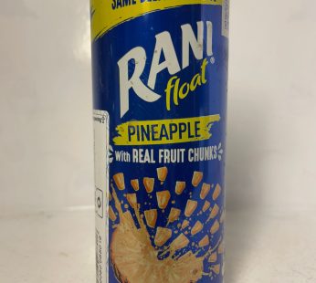 Rani Float Pineapple 235ml*24(235)