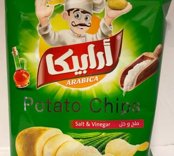 Arabica Chips Salt&Vinegar 100g*16 (355)