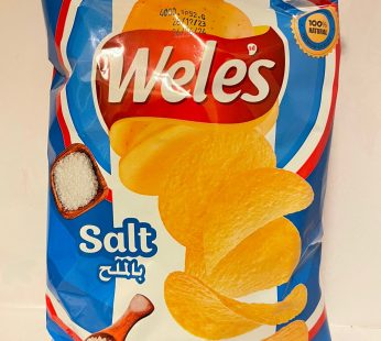 Weles Chips Salt 100g*12 (365)