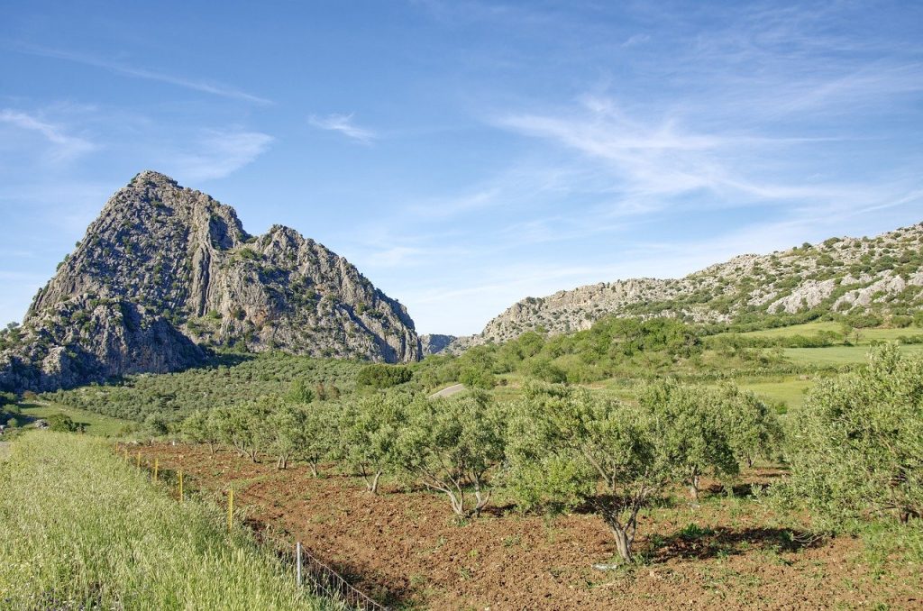 Sierra de Mariola Natural Park