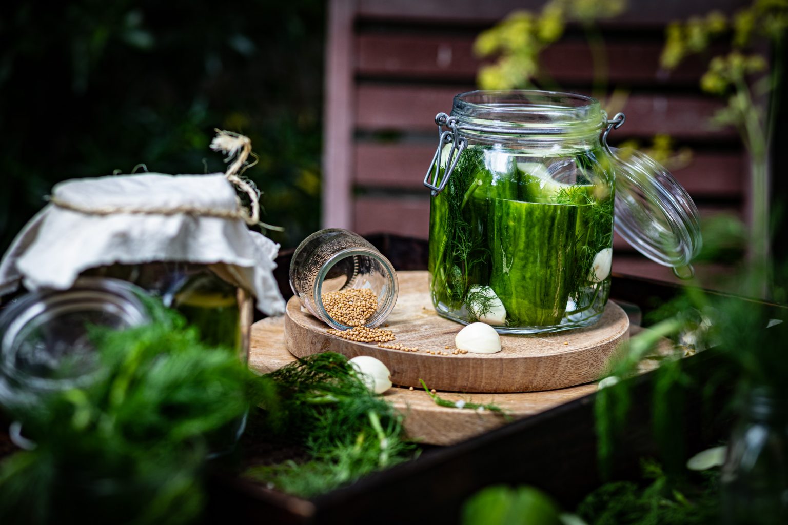 Cornichons lactofermentés Alimentation Intégrative