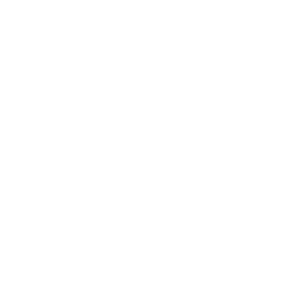css3 logo