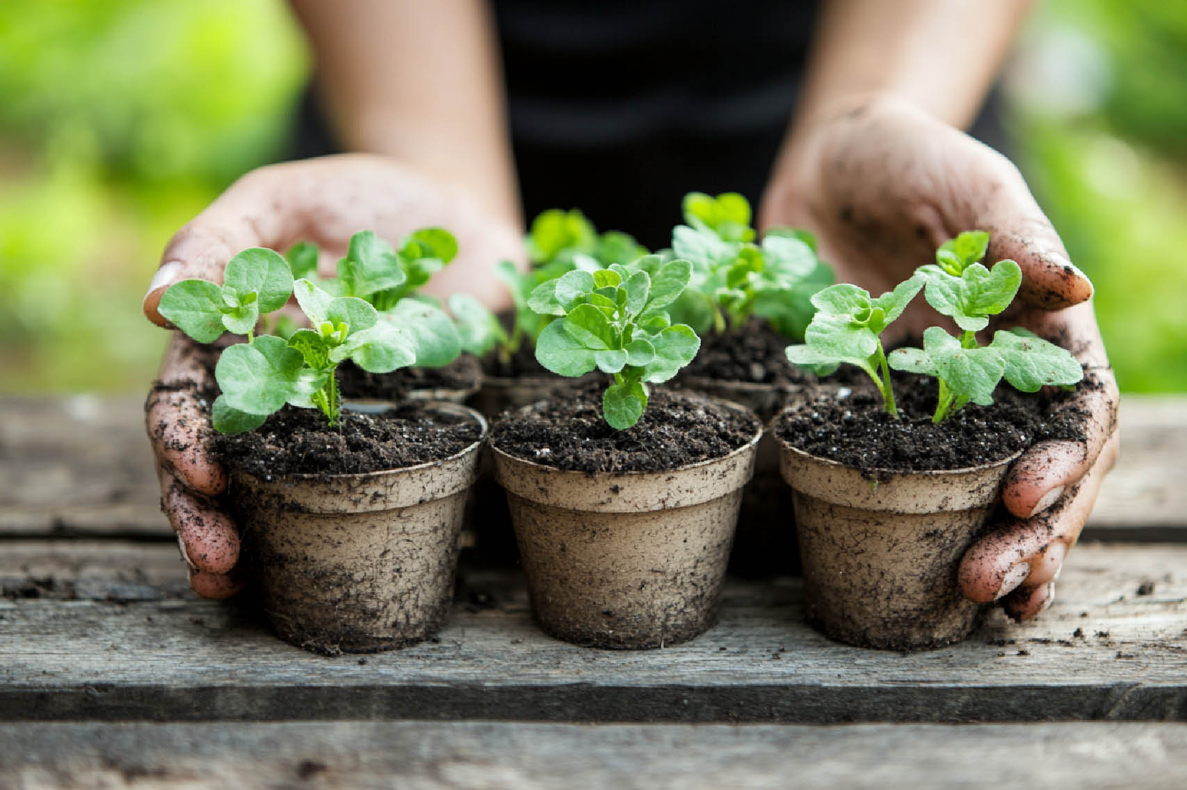 Jönköping Villamässa Trädgårdsmässa elmia