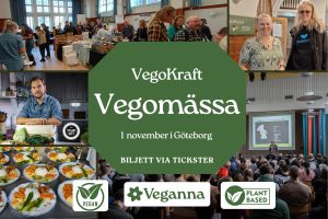 vegokraft vegomässa kviberg göteborg