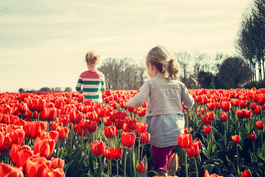 Ein Mädchen und ein Junge laufen durch ein rotes Tulpenfeld. Prävention kann Kindern psychisch kranker Eltern helfen, selbst nicht eine psychische Störung zu entwickeln.