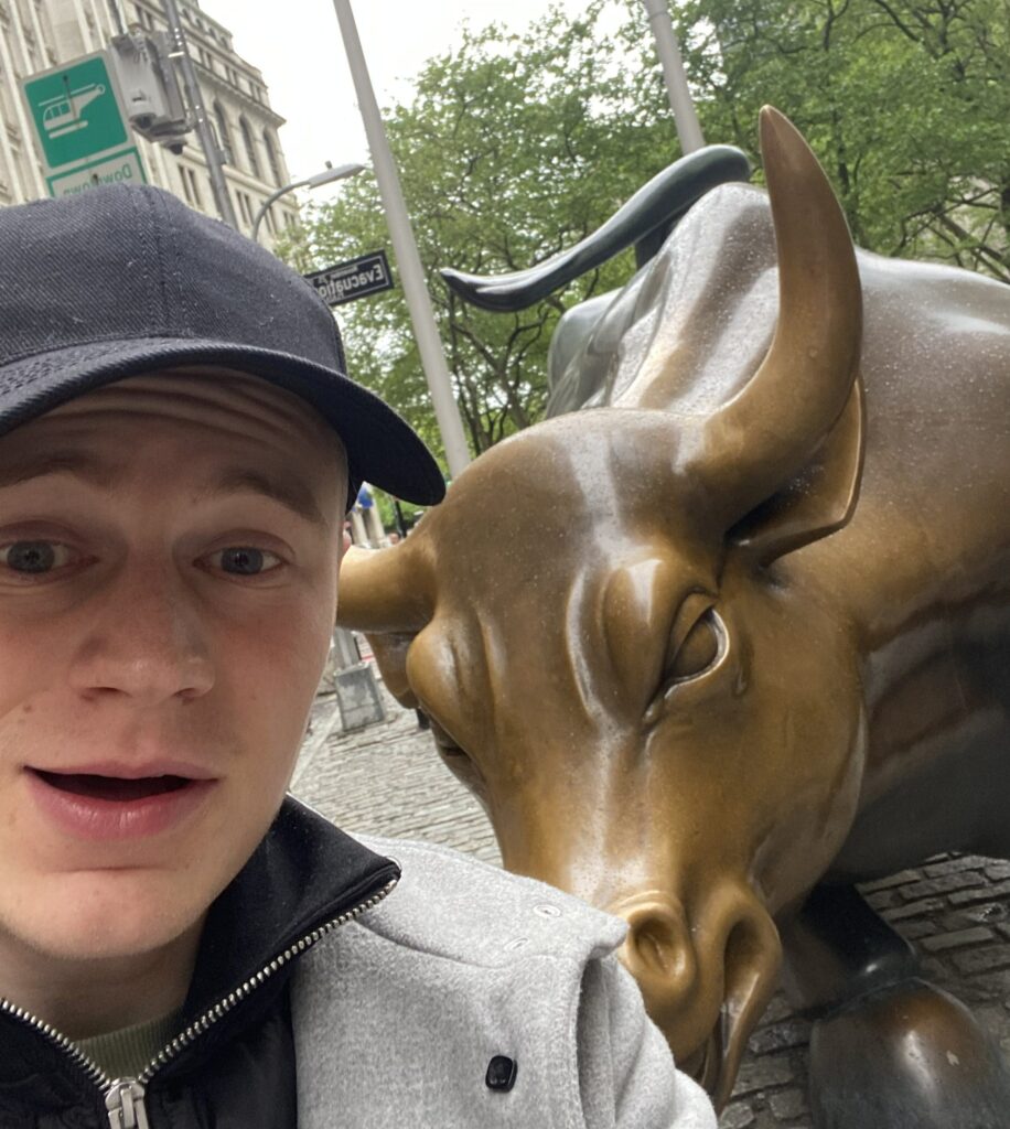 Bild på charging bull