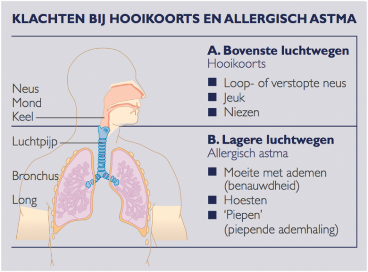 Klachten bij hooikoorts