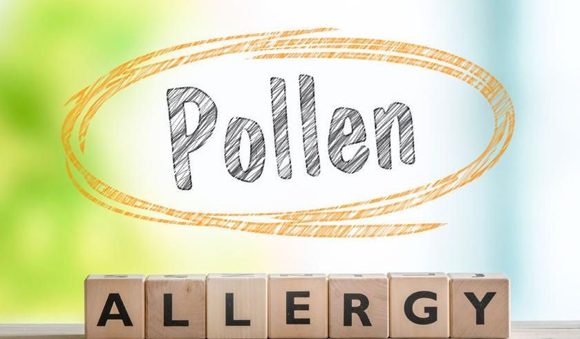 Pollen allergy