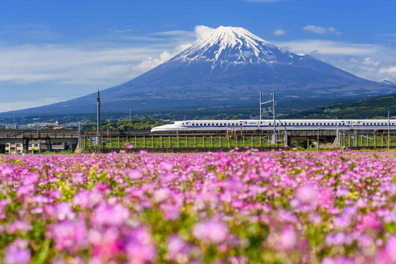 https://usercontent.one/wp/www.allevoyage.com/wp-content/uploads/2018/09/tour-osaka-04-1280x854.jpg