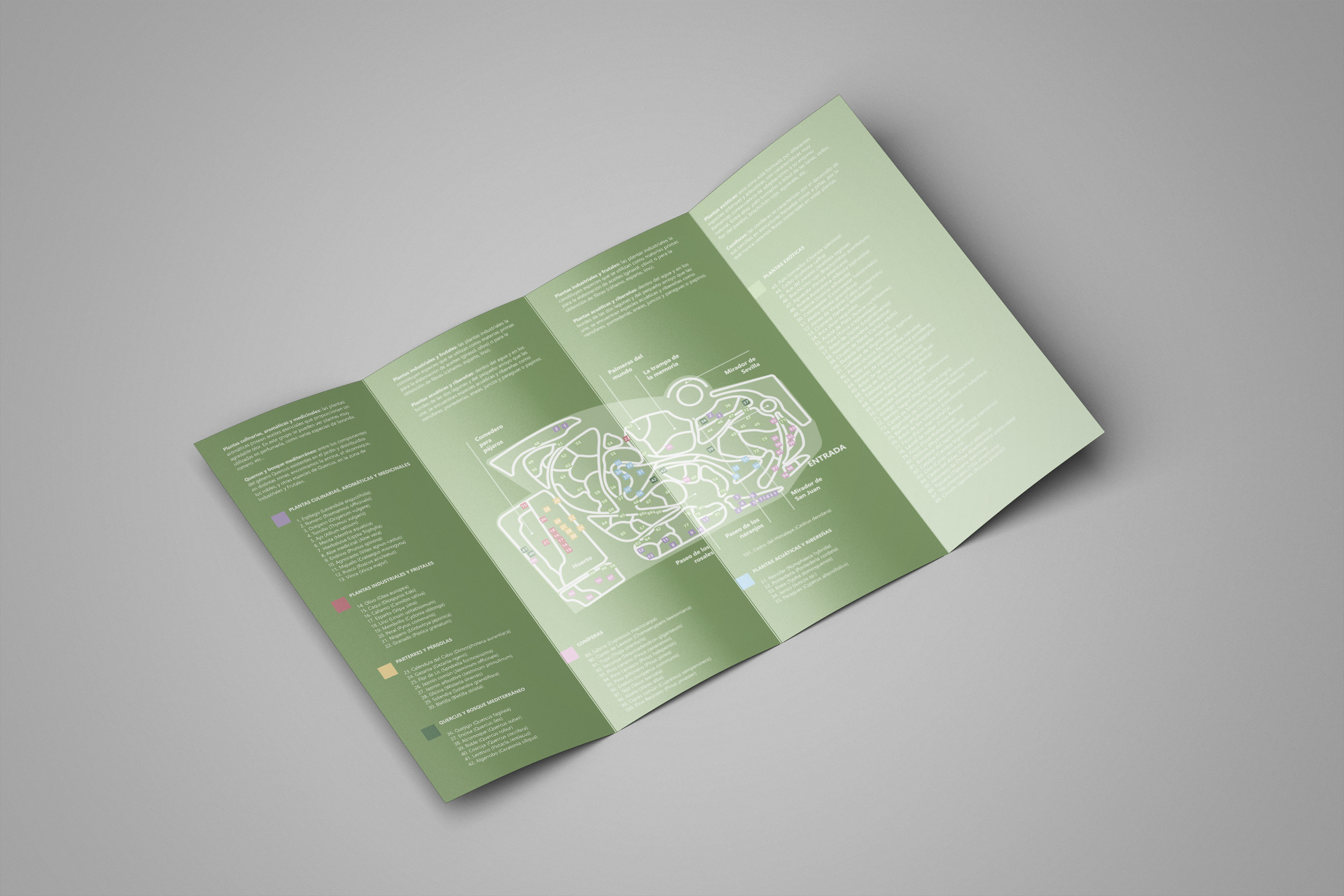 mockup-cuadriptico-inside
