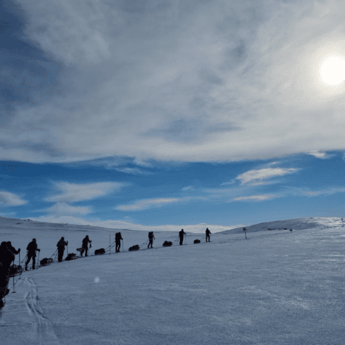 En grupp på åtta personer skidar på led bort från kameran med packningen i pulkor, omgivna av snö och en sol på himlen.