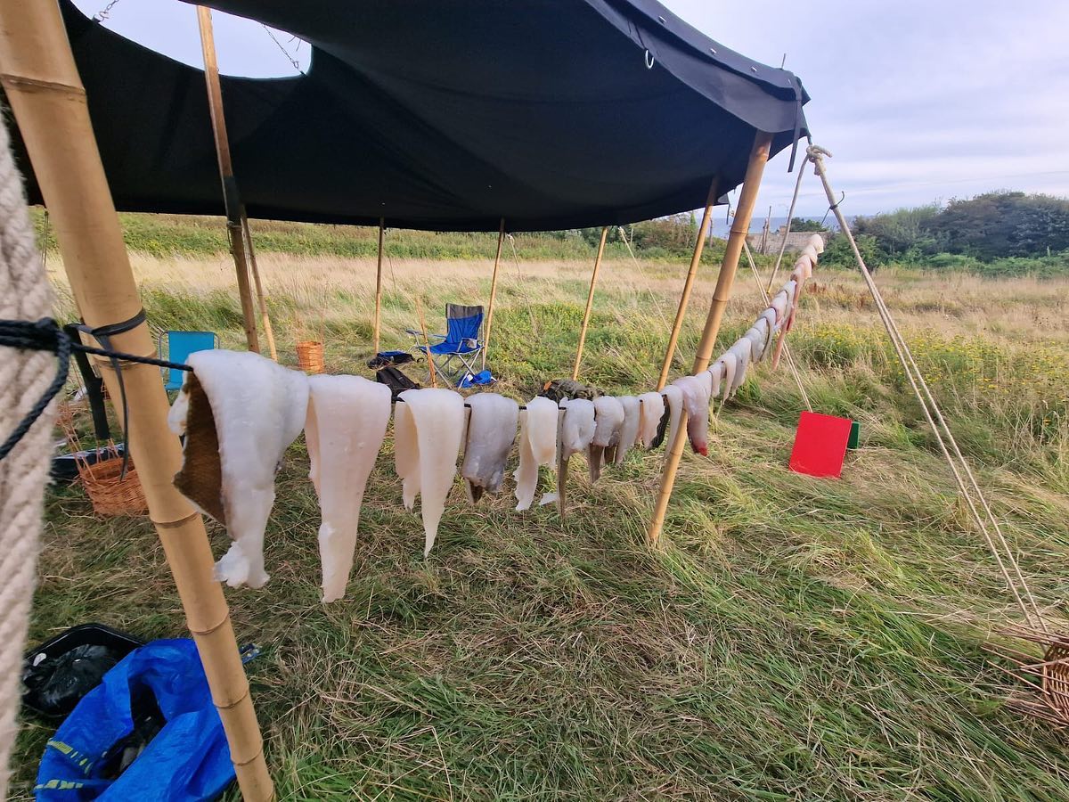 Fiskfiléer hänger på tork på en lina under ett tygtak.