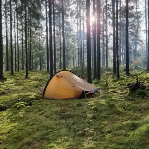 Ett gult Hillebergstält i grön skog med solljus som strilar mellan träden.