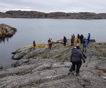 Class of coastal survivors wander the beach for resources. cliffs and sea.